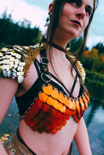 Load image into Gallery viewer, Scalemail Tutorial Bundle